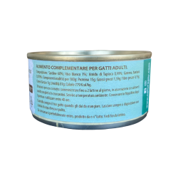 copy of 